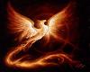 L'immagine profilo di AlexPhoenix