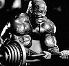 L'immagine profilo di Big Biceps